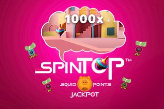 Spin Top