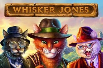 Whisker jones